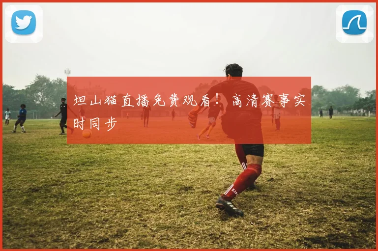 坦山猫直播免费观看！高清赛事实时同步