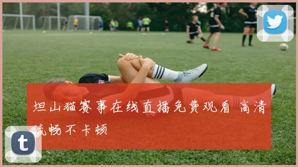 坦山猫赛事在线直播免费观看 高清流畅不卡顿