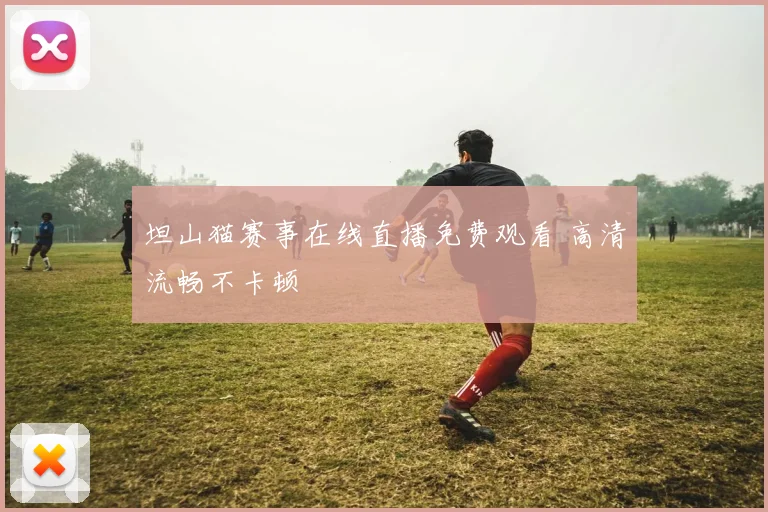 坦山猫赛事在线直播免费观看 高清流畅不卡顿