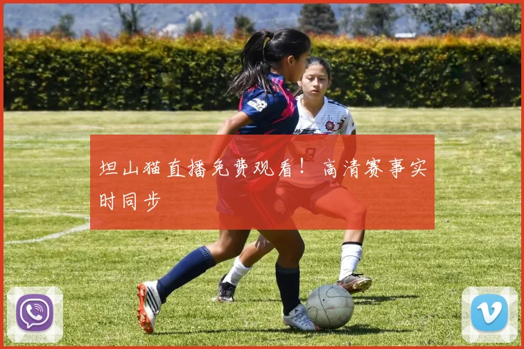 坦山猫直播免费观看！高清赛事实时同步